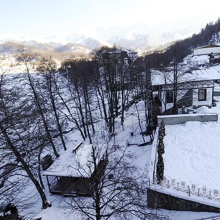 Hotel Victoria Bakuriani Bagian luar foto